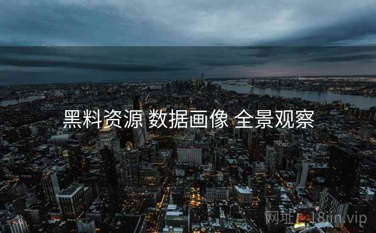 黑料资源 数据画像 全景观察
