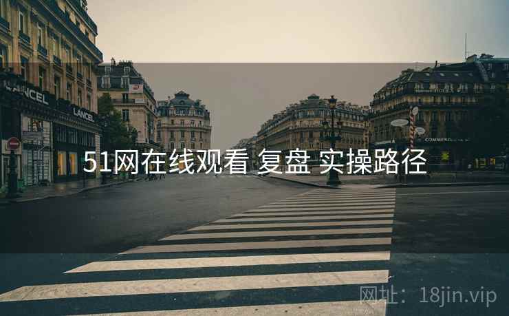 51网在线观看 复盘 实操路径