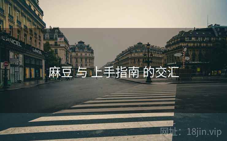 麻豆 与 上手指南 的交汇