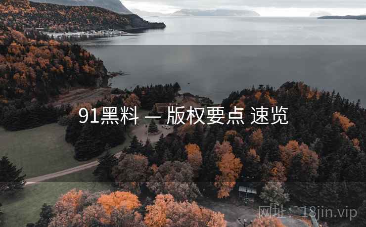 91黑料 — 版权要点 速览