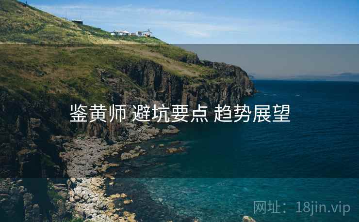 鉴黄师 避坑要点 趋势展望