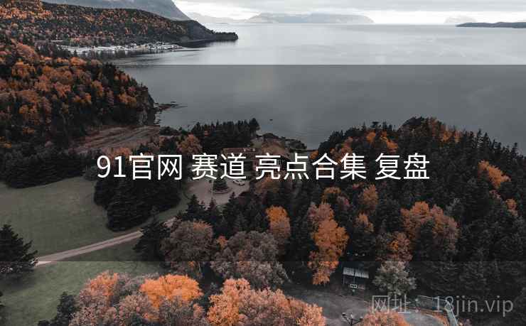 91官网 赛道 亮点合集 复盘