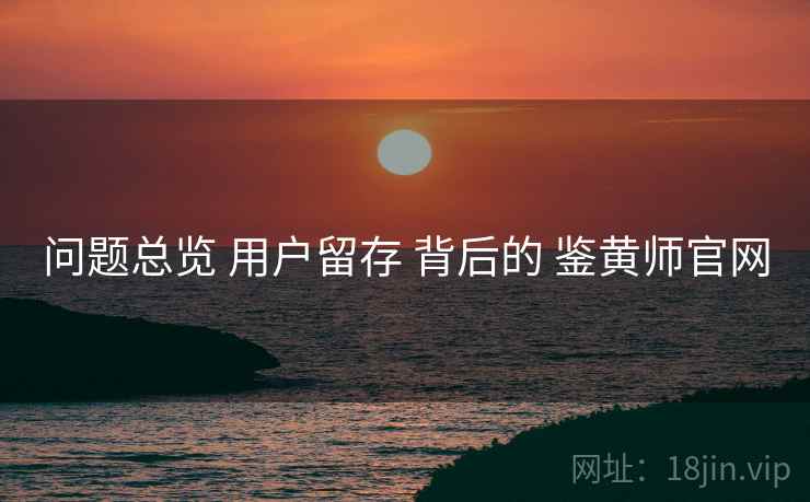 问题总览 用户留存 背后的 鉴黄师官网  第2张