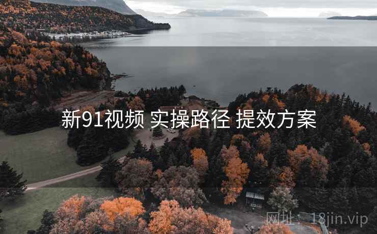 新91视频 实操路径 提效方案  第2张