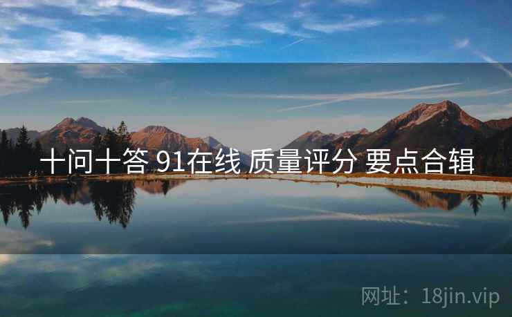 十问十答 91在线 质量评分 要点合辑