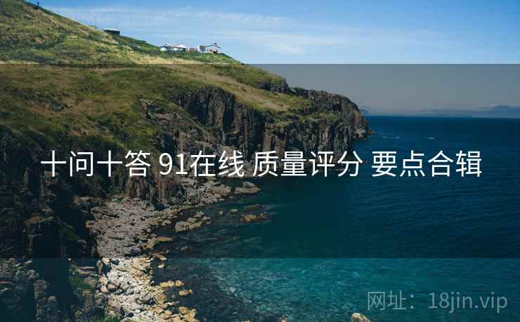 十问十答 91在线 质量评分 要点合辑