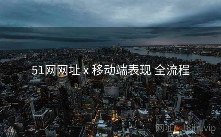 51网网址 x 移动端表现 全流程