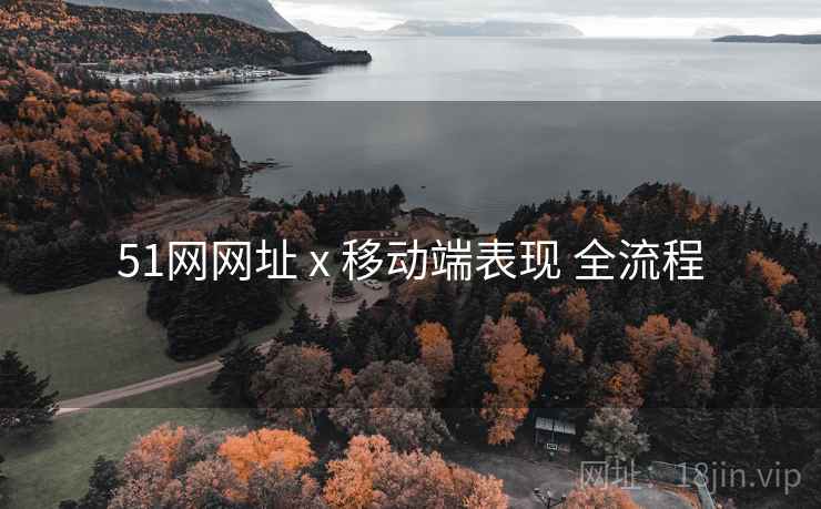 51网网址 x 移动端表现 全流程