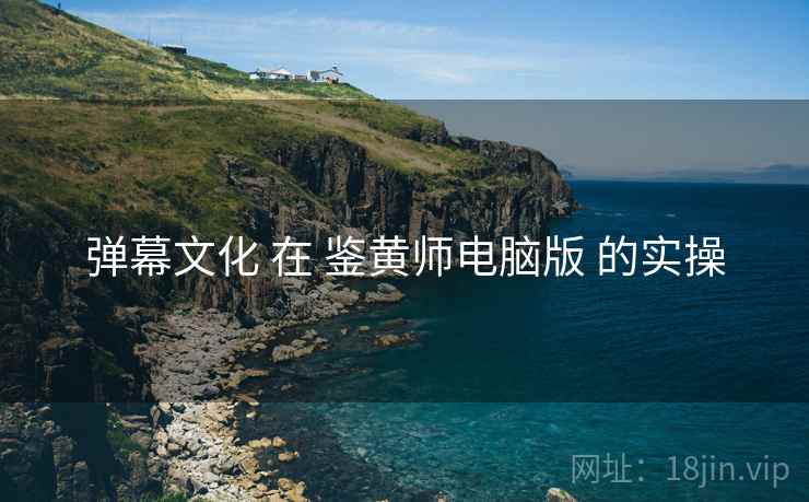 弹幕文化 在 鉴黄师电脑版 的实操