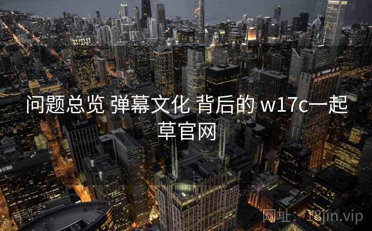 问题总览 弹幕文化 背后的 w17c一起草官网
