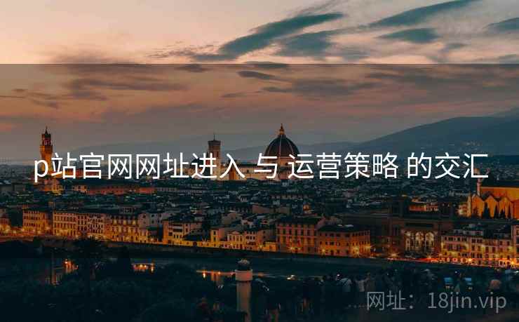 p站官网网址进入 与 运营策略 的交汇