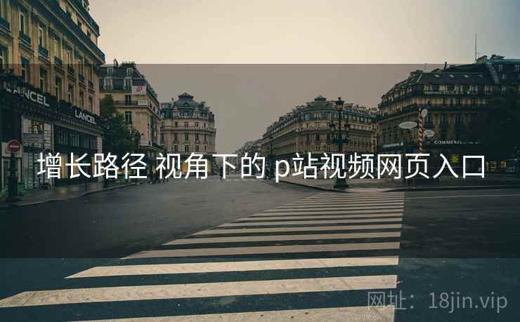 增长路径 视角下的 p站视频网页入口