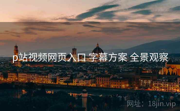 p站视频网页入口 字幕方案 全景观察