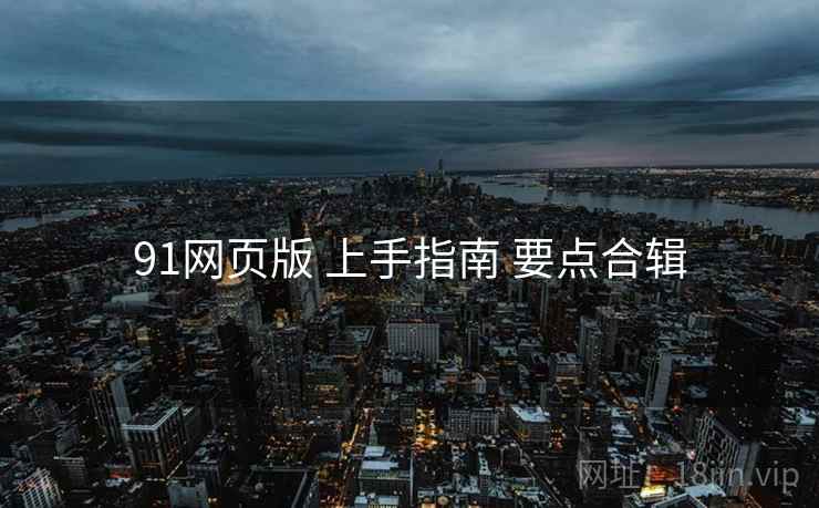 91网页版 上手指南 要点合辑