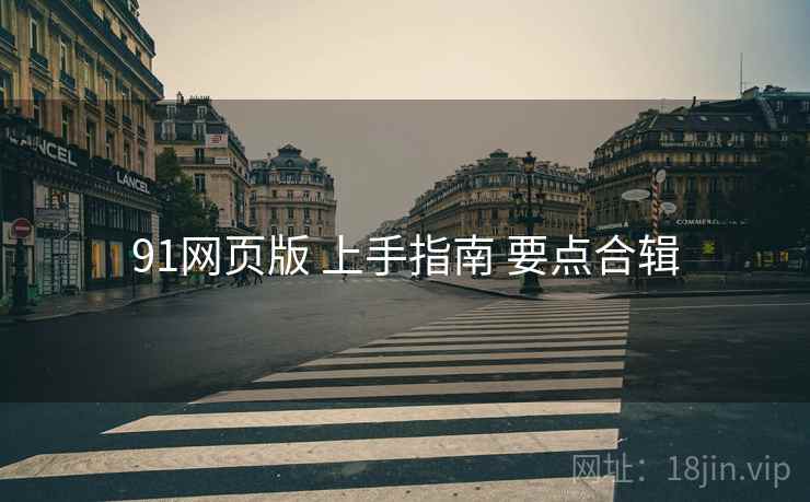 91网页版 上手指南 要点合辑