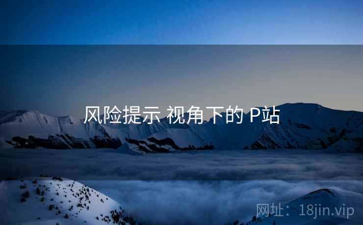 风险提示 视角下的 P站